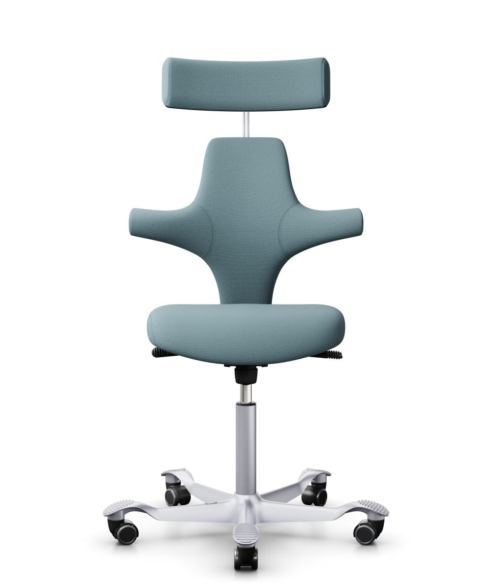 Capisco 8127 SC67098 front Capisco 8127 SC67098 front